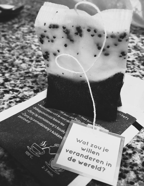 Basistraining Levend Verlies bij chronische aandoeningen en dementie